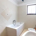 Apartman In With Wifi Veprinac